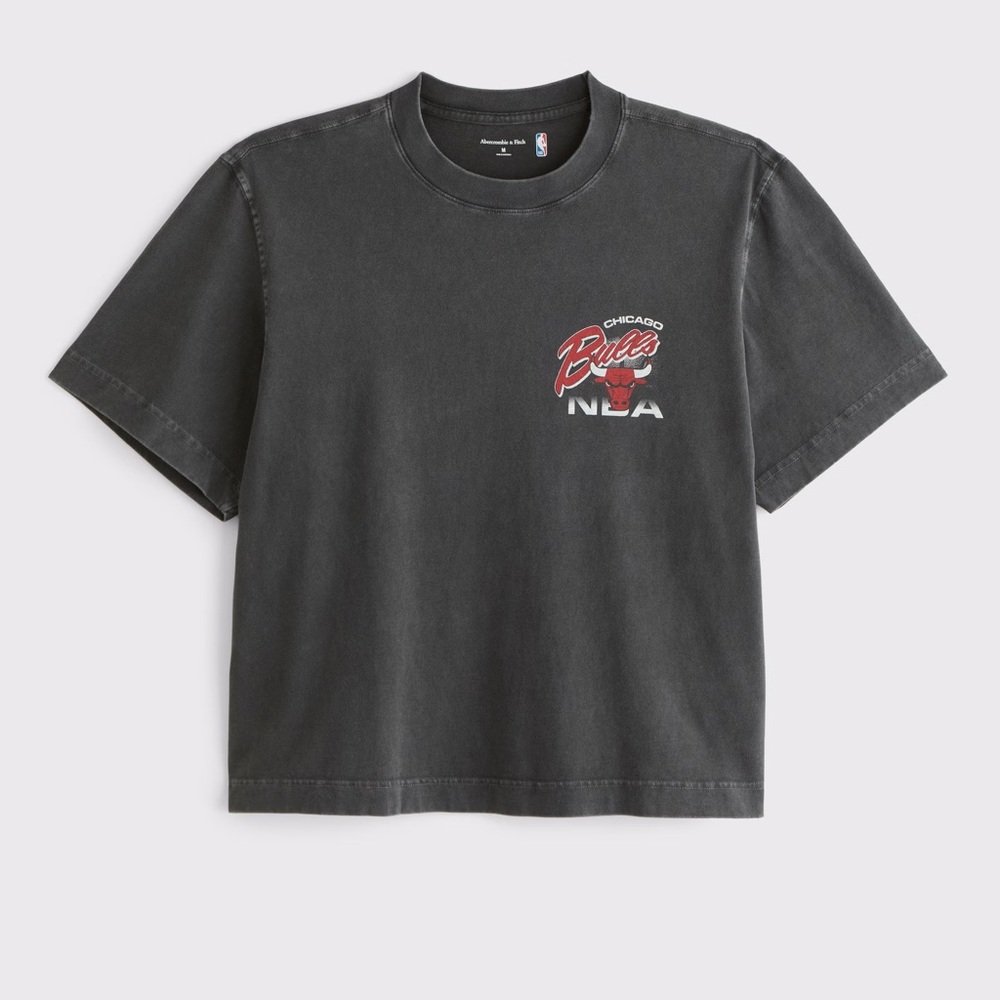 Abercrombie Fitch Chicago Bulls NBA Graphic T-Shirt